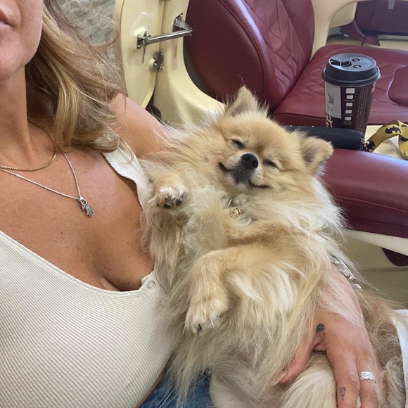 Meet your Posher, Lu - Picture 1 of 1